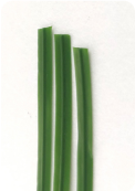خيوط الخيوط