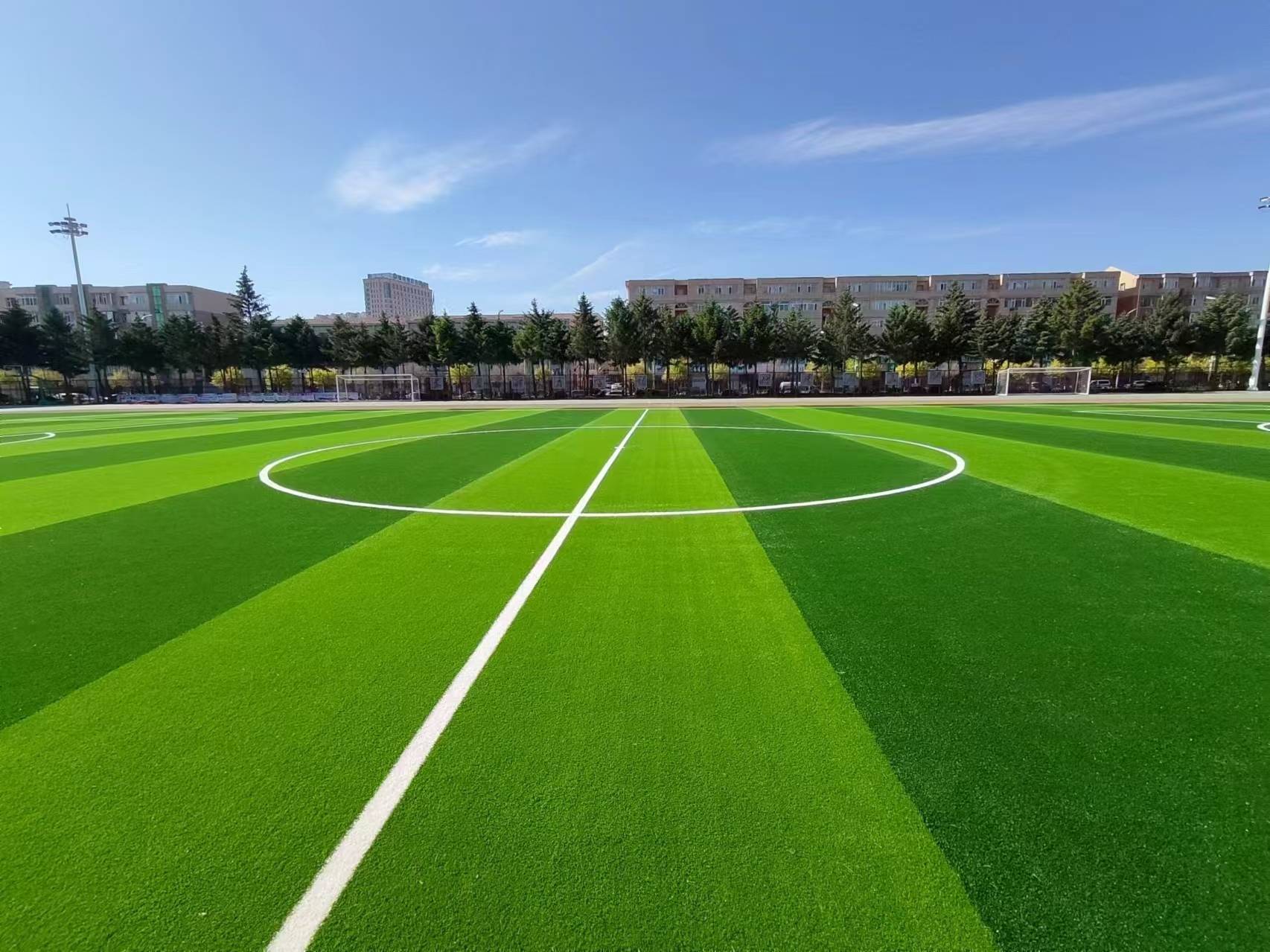 كل العشب الرياضي