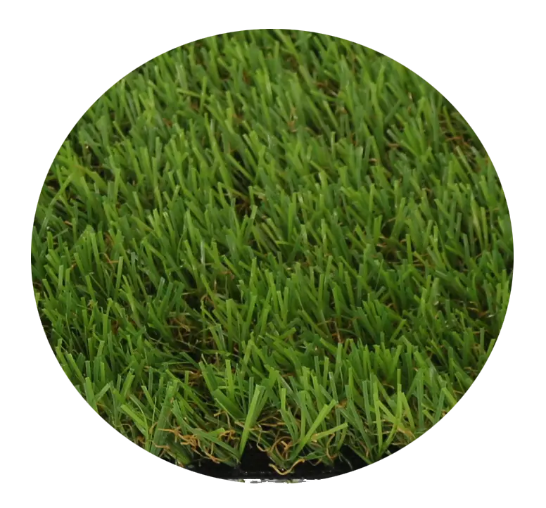 الحفل السنوي لشركة جيانغسو فيكتورف المحدودة لعام 2025-2026