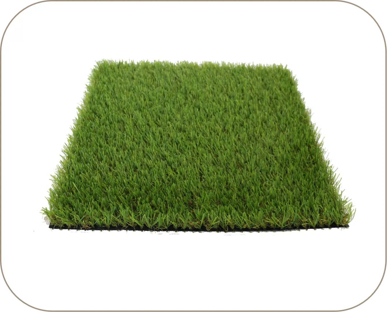 العشب غير اللامع